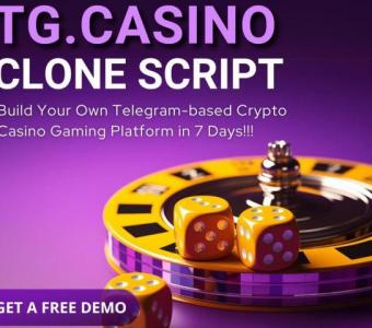 Premium TG.Casino Clone Script Features for Unmatched Telegram Casino Performance