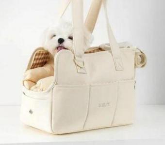 Your Pet's Comfort Companion: Luxury Carrier Airline Approved!