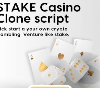 Affordable Stake Casino Clone: Enter the Market Quickly with Our Proven Script