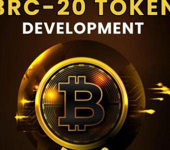 Create Your Own Feature-Rich BRC20 Token in 1 Day