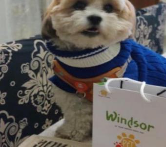 Windsor The Pet Food Shop in Khan Market