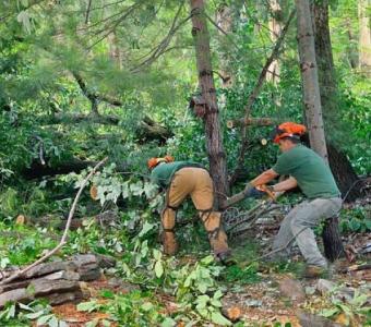 Deibys Landscape inc. | Landscaper in Cerritos CA