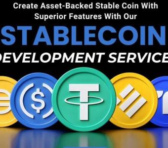 Create your ideal stablecoin with our exceptional services