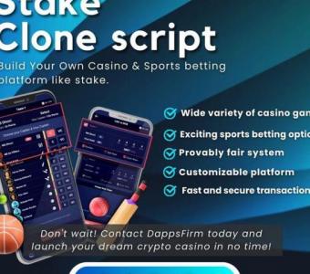 Affordable Stake Clone Script: Start Your Crypto Casino Today at Minimal Cost!