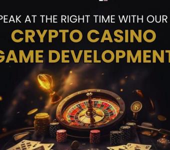 Build Your Own Feature-Rich Crypto Casino Gaming Platform as per Your Vision