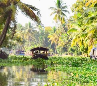 Kochi Tours And Travels