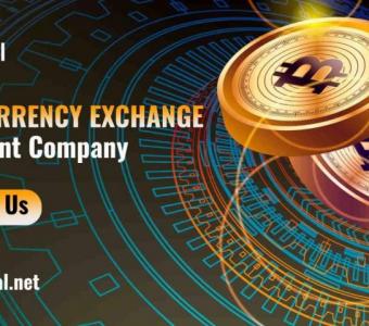 Cryptocurrency Exchange Development Company - Bitdeal