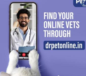 How Online Pet Consultations Can Save You in Emergencies