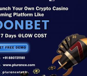 Unique Way To Launch a Donbet-Like Crypto Casino Platform