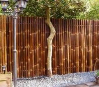 Best Bamboo Panels Brisbane for Privacy Fencing