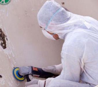 Top Mold Remediation Companies Near Me: Find Professional