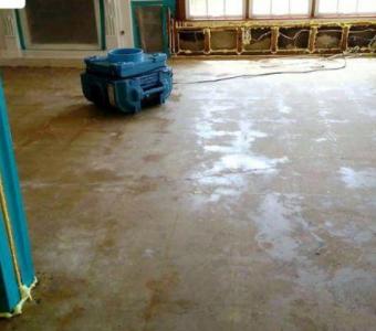 Professional Mold Remediation in Newport Beach