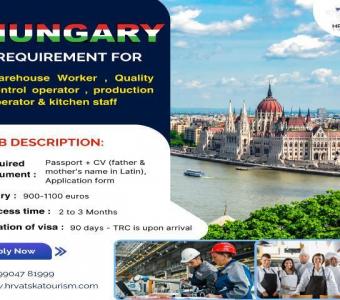 Job Opportunities in Hungary: Warehouse, Production and Kitchen Staff