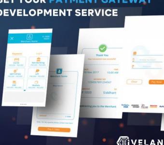 Payment Gateway Development Company - Hivelance