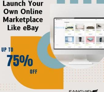 Launch Your Own Online Marketplace Like eBay!