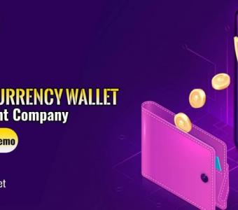 How to Choose the Right Cryptocurrency Wallet Development Company - Bitdeal?