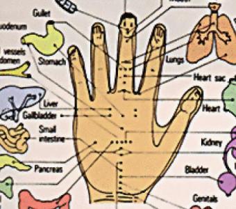 sujok acupressure treatment in ahmedabad