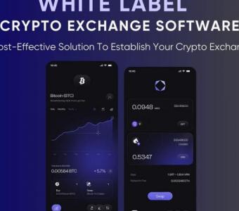 Launch your crypto exchange in no-time with whitelabel crypto exchange software