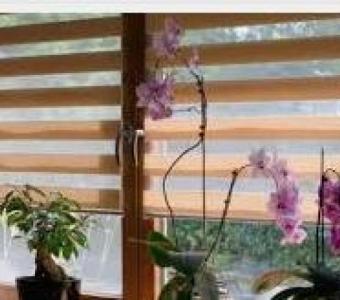 Best Motorized Roller Shades Miami