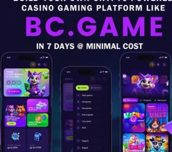 One Stop Solution To Create a Complete Crypto Casino Game like BC.Game