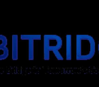 Bitridge LLC