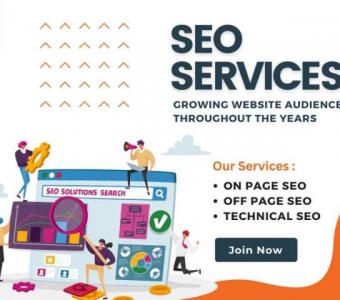 Which company is the best at SEO service in USA?