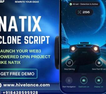 NATIX Clone Script development - Hivelance