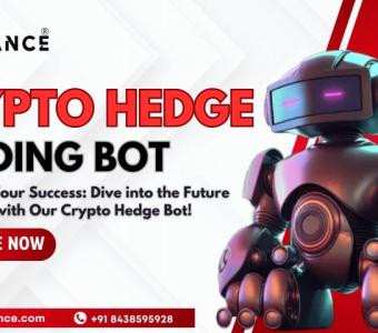 Create Your Own Crypto Hedge Bot with Hivelance Hire Expert Developers Today!