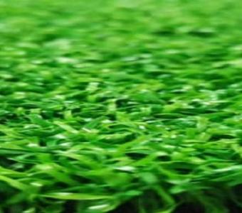 Affordable and High-Quality Artificial Turf in Brisbane