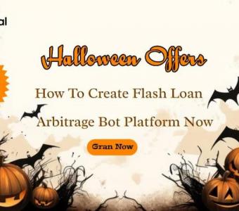 How To Create Flash Loan Arbitrage Bot Platform Now  And  Grab  The Halloween Offers - Bitdeal