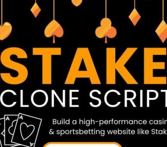 Experience Hassle-Free Launching: Stake Clone Software Designed for Quick Setup