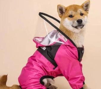 Pamper Your Pup: Stylish Dog Rain Hoodie