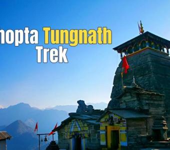 Plan Your Chopta Tungnath Weekend Adventure with Enlive Trips