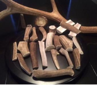 High-Quality Elk Antlers for Dogs - Wholesale Prices