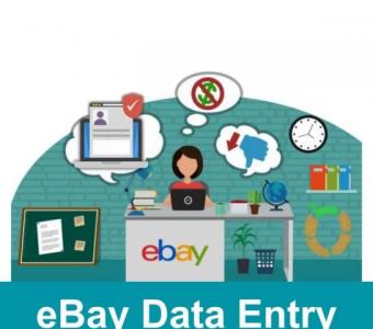 Simplify Your Work with eBay Data Entry Services