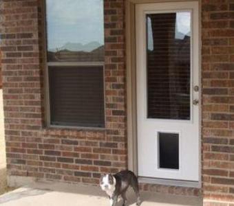 Your Destination for Exterior Doors with Doggie Door