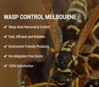 Wasp Nest Removal Melbourne