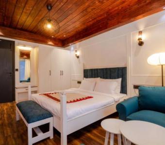 Luxury Villa in Manali