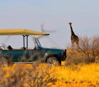 Luxury Tanzania Safari