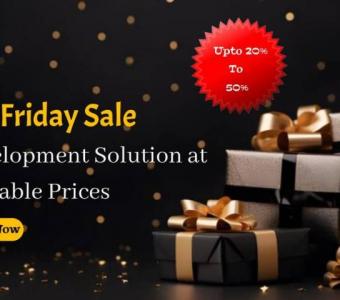 "Limited-Time Black Friday Sale: AI Development Solution at Unbeatable Prices" - Bitdeal