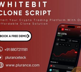 Jump into the crypto market with Plurance's whitebit clone script