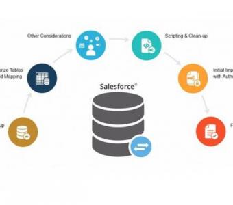 Looking For Salesforce Data Migration Services