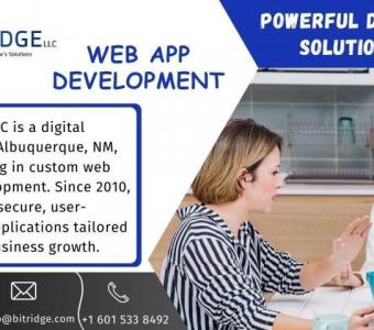 Website Development