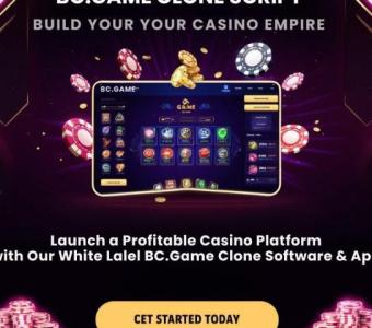 Why Entrepreneurs Choose BC.Game Clone Script for Casino Success