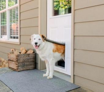 Exterior Door with Dog Door Installed in Lewisville, TX