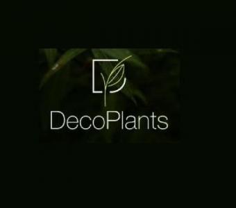 Deco Plants