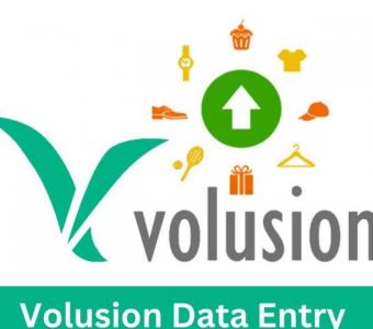 Volusion Data Entry Services | Accurate & Efficient Store Management