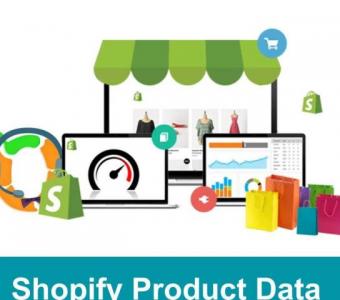 Shopify Product Data Entry Services for Accurate and Efficient Listings