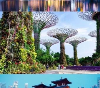 Singapore Tour Packages from Dubai