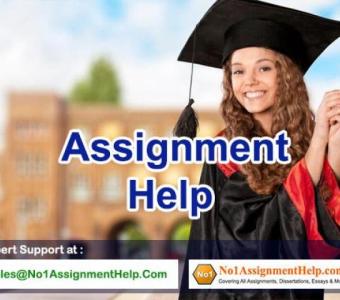 Assignment Help  - Avail Quality Services At No1AssignmentHelp.Com